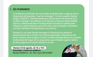 plenario
